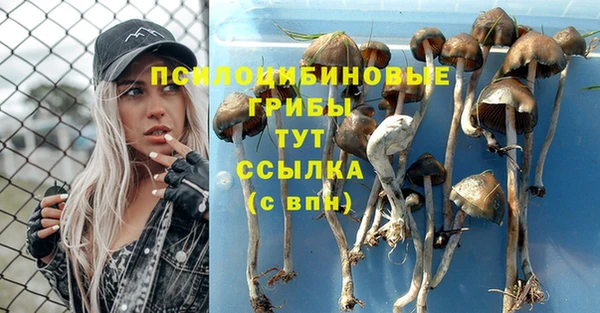 первитин Алзамай