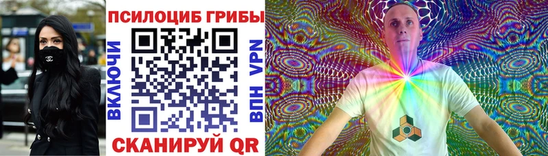 darknet какой сайт  как найти закладки  Обнинск  Псилоцибиновые грибы Psilocybine cubensis 